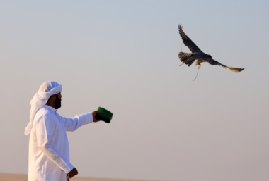 انطلاق المرحلة الثانية لمسابقة الهدد مهرجان السلع البحري 2025